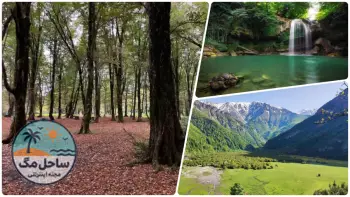 زیباترین جنگل‌های ایران؛ راهنمای سفر به 16 بهشت روی زمین